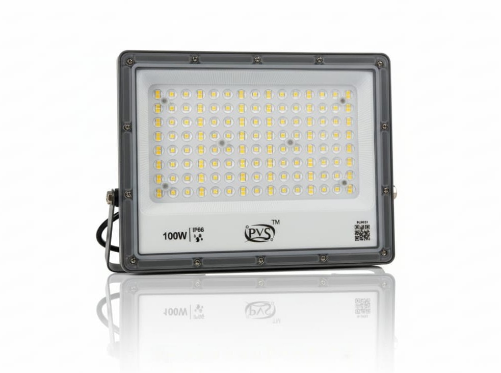100W Flood Light